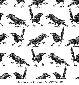 Seamless background of the sketches of magpies and crows