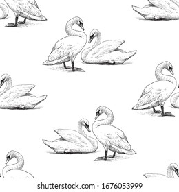 Seamless background of sketches pairs white swans on lake shore