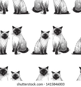 Seamless background of sketches of sitting thai cats