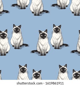 Seamless background of sketches sitting thai cats 