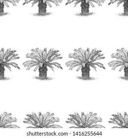 Seamless background of sketches of tropical palm trees