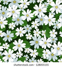 Seamless background with stellaria flowers. Vector illustration.
