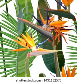 Seamless background with Strelitzia Reginae orange tropical flower. Vector illustration, EPS 10