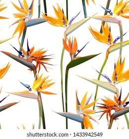 Seamless background with Strelitzia Reginae, orange tropical flower bouquets vector set isolated on white. Green leaves, orange and violet blossom design set. Vector illustration, EPS 10