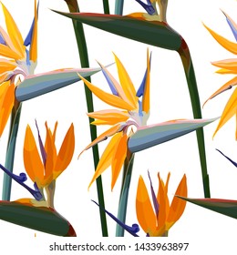 Seamless background with Strelitzia Reginae, orange tropical flower bouquets vector set isolated on white. Green leaves, orange and violet blossom design set. Vector illustration, EPS 10