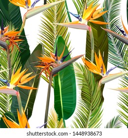 Seamless background with Strelitzia Reginae, orange tropical flower bouquets vector set. Green leaves, orange and violet blossom design set. Vector illustration.