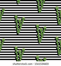 Seamless background with stripes and asparagus with dark shadow. Vector illustration design for template.