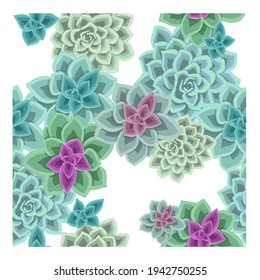 Seamless background with succulents. Vector floral illustration