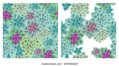 Nahtloser Hintergrund mit Sukkulenten. Vektorgrafik-Blumengrafik