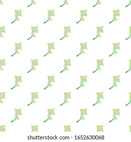 textura de fondo transparente con hojas de shamrock verdes.