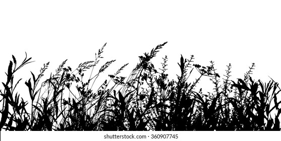 Seamless Background Tracing grass. Vector