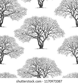 Seamless background of trees silhouettes