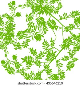 seamless background trees. Vector