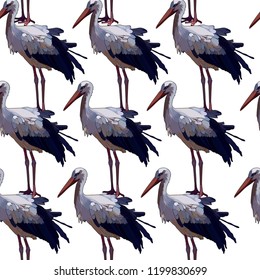 Seamless background with tropical birds. Storks. Vector isolated elements on the white background.