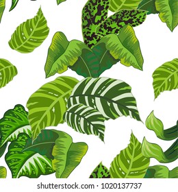 Seamless background with tropical leaves