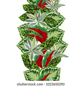 Seamless background with tropical leaves