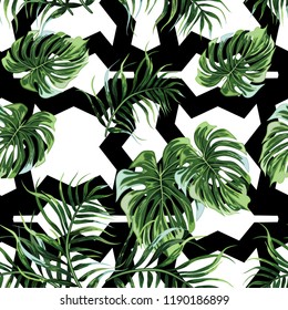 Fondo transparente con hojas tropicales