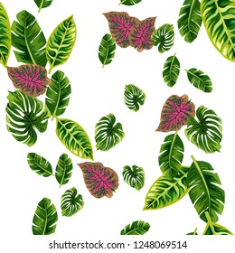 Seamless background with tropical leaves