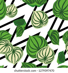 Seamless background with tropical leaves