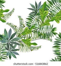 Fondo transparente con hojas tropicales