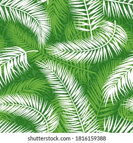 Seamless Background, Tropical Palm Trees Green and White Leaves, Tile Pattern. Vector