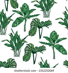 seamless background with tropical plants. On a white background palm, aspidistra, dieffenbachia, philodendron, palm branches. Exotic green plants. The pattern is editable