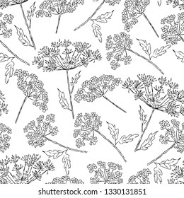 seamless background of the umbellate flowers