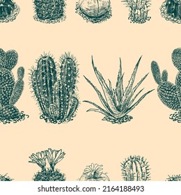 Seamless background of various drawn cactuses 