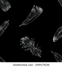 Seamless background of various drawn pigeon feathers