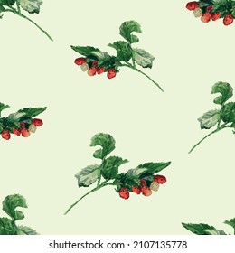 Fondo inmaculado de dibujos acuarelas de ramas de frambuesa con bayas rojas maduras y hojas verdes