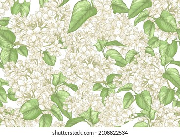 Seamless background with white lilac flowers. Vector illustration.