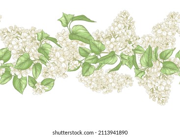 Fondo incomparable con flores de lila blanca. Ilustración vectorial.