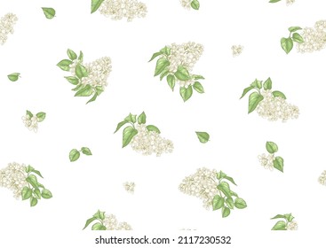 Fondo incomparable con flores de lila blanca. Ilustración vectorial.