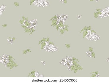 Seamless background with white lilac flowers. Vector illustration.