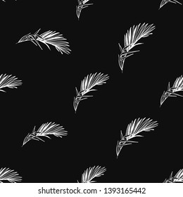 Seamless background with white palm leaf. Botanical floral illustration. Vector line drawn tropical leaves. Hand drawn white contour sketch on black background.