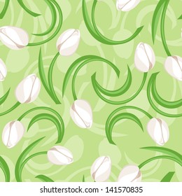 Seamless background white tulips. Vector illustration.