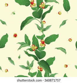 Seamless background with Withania somnifera commonly  known as Ashwagandha