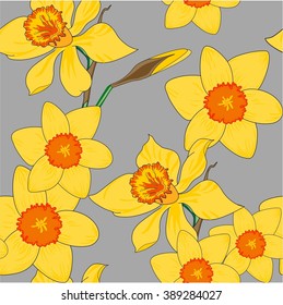 Seamless background of yellow daffodil flowers. Illustration vector