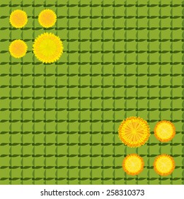 seamless background of yellow dandelions on a checkered tablecloth