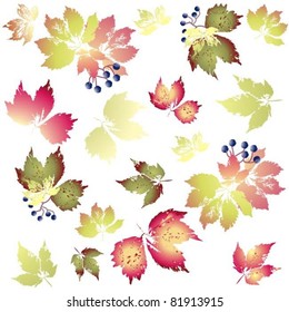Seamless background.Illustration wild grapes.