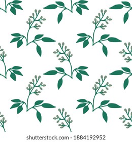 Seamless balsam torchwood vector pattern