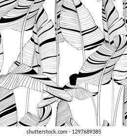 Seamless banana leaf pattern background. Black and white with drawing line art illustration. White backdrop.