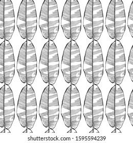 Seamless banana leaf pattern background. Black and white with drawing line art illustration.