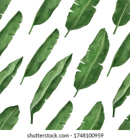 Seamless banana leaf pattern. green, tropical Vector.