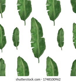 Seamless banana leaf pattern. green, tropical Vector.