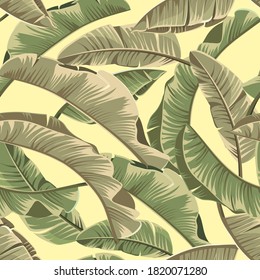 Seamless banana leaves. Vector tropical pattern background