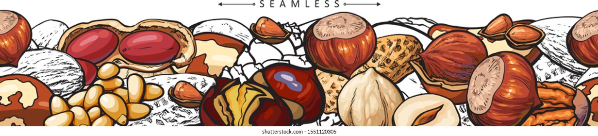 Seamless banner of hand drawn brown nuts - hazelnut, peanut, pine nut, walnut in horizontal line drawing. Heathy natural food source vector illustration