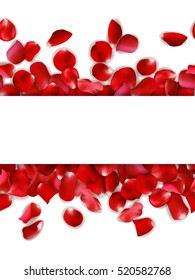 Seamless banner of red, pink rose petals on a white background, vector illustration