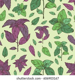 Seamless with basil:leaf and plant. Hand drawn.