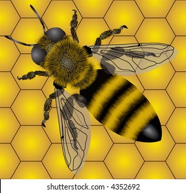 Seamless of bee